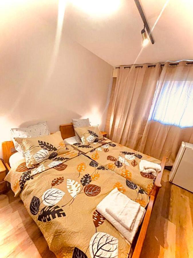 Appartement 3 Pieces Pour 1 A 5 Voyageurs Rillieux-la-Pape Exterior photo