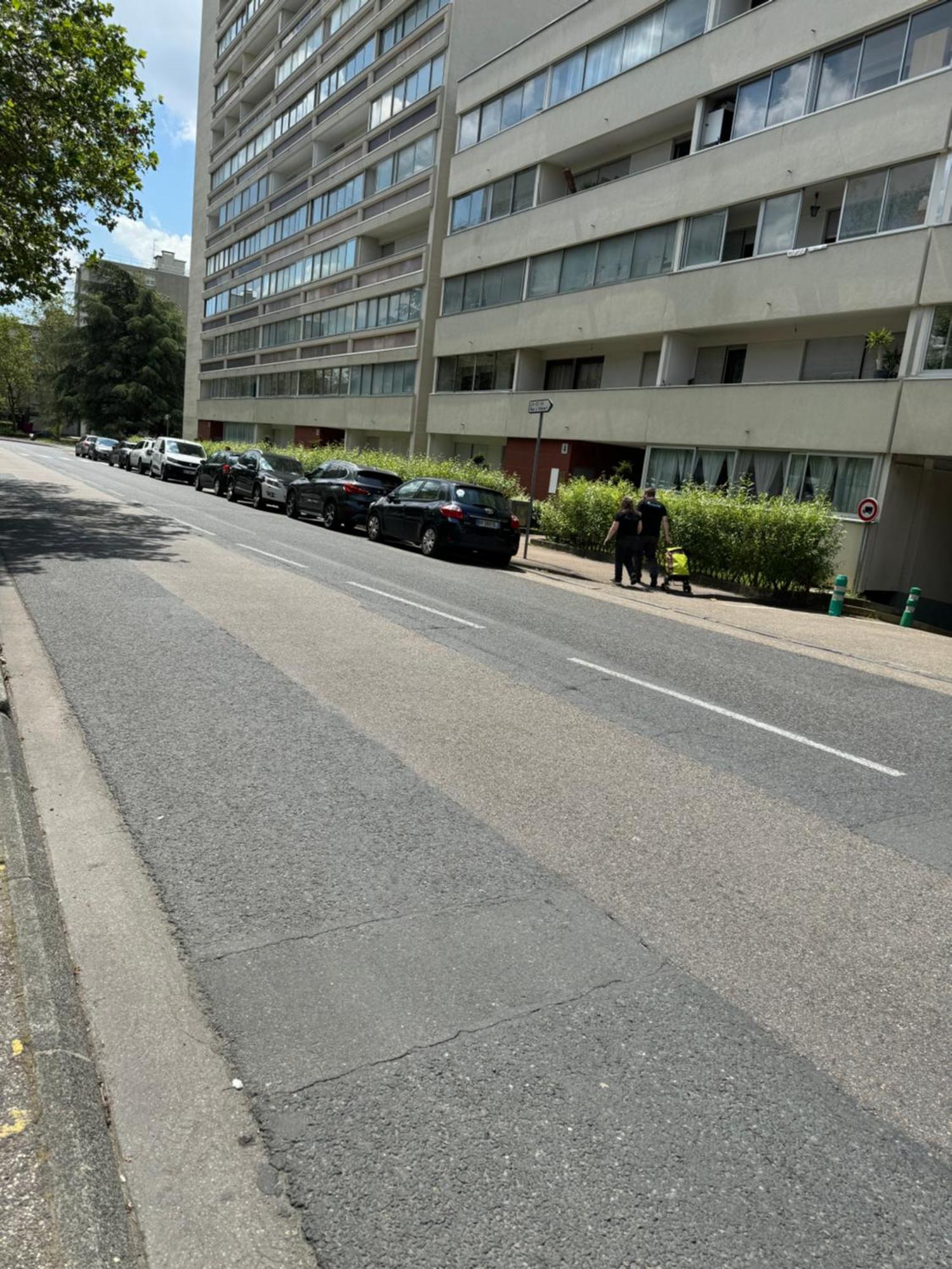 Appartement 3 Pieces Pour 1 A 5 Voyageurs Rillieux-la-Pape Exterior photo